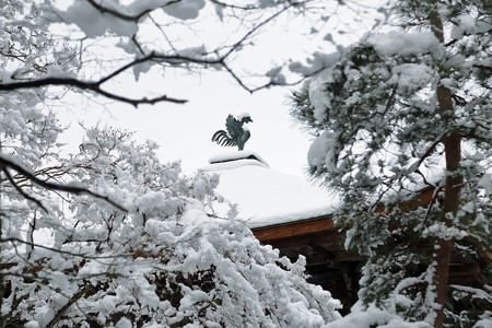 銀閣寺 (6)