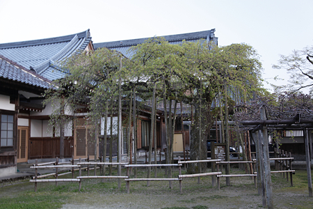 宝光寺 - 05