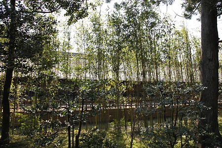 清水園 - 02