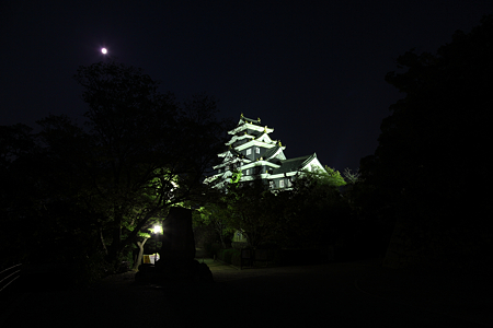 岡山城ライトアップ - 1