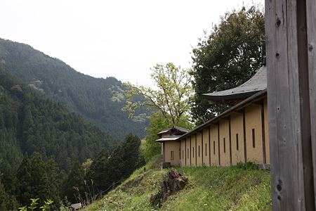 高根城 - 03