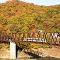 紅葉の湯西川橋梁を行くAIZUマウントエクスプレス