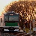 夕陽