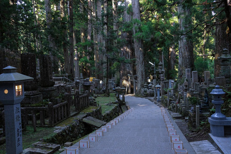 高野山奥の院への道