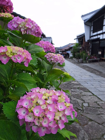 R0020817