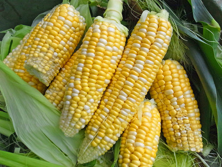 R0021802