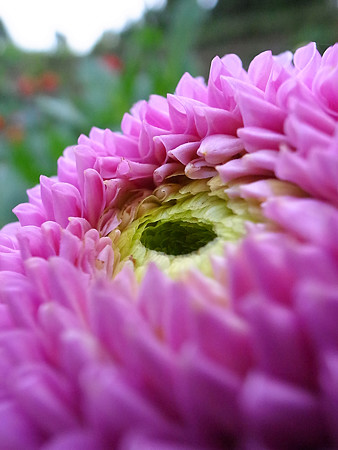 R0022751