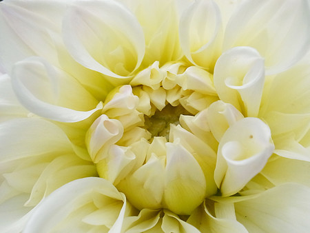 R0022696