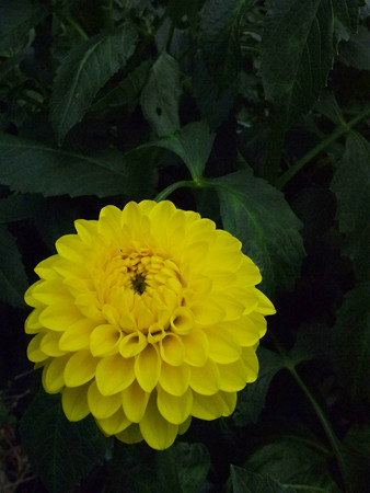 R0022536