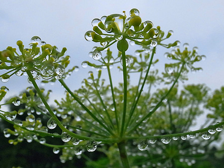 R0023034