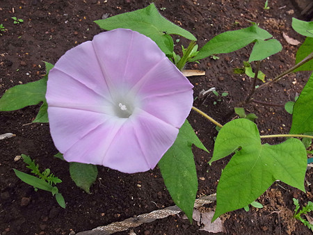 R0023099