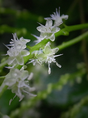 R0027081