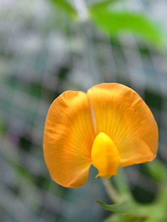 R0027666