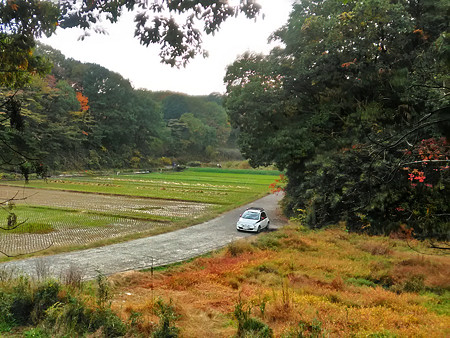 P_20161115_143325_HDR