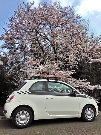 P_20170406_141024_HDR