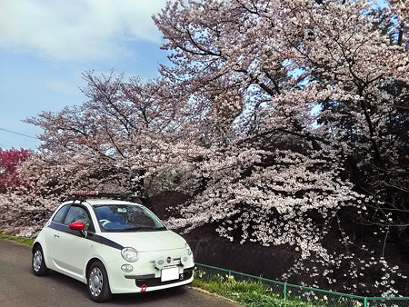 P_20170406_141406_HDR