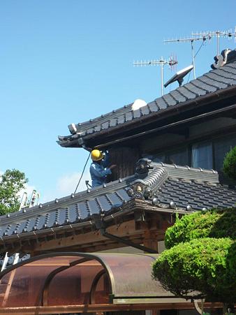 P1000641