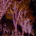 新宿テラスシティ イルミネーション