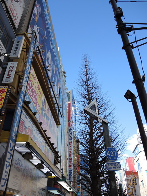 DSCN0723
