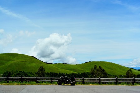 DSC_9590-1