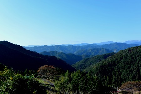 DSC_1204-1