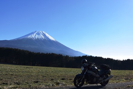 朝霧高原
