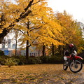 日比谷公園