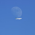 昼の月とSpring Airlines A320