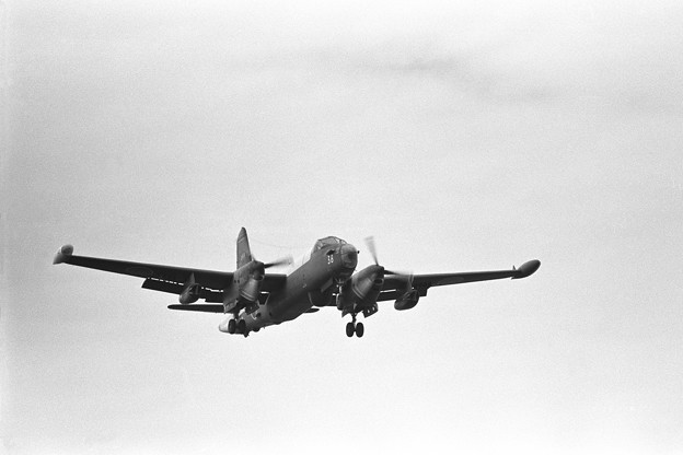 P-2J 4738 203空 厚木1974.09