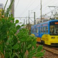 Photos: 阪堺電気軌道 阪堺線