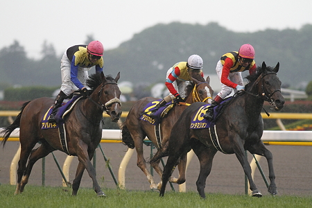 2010 優駿牝馬