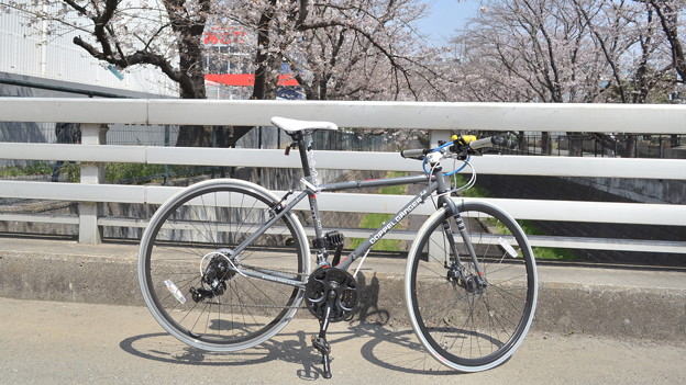 橋のたもとで…。