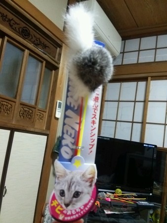 ネコじゃらし0402
