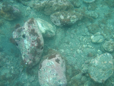 P8140010