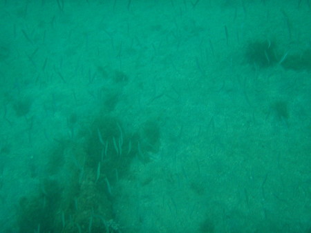 P8140020
