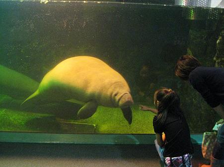 水族館