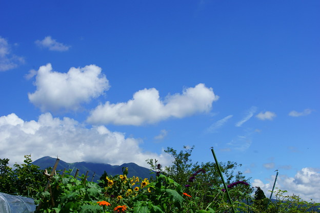 DSC03704