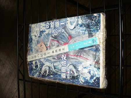 IMGP0181