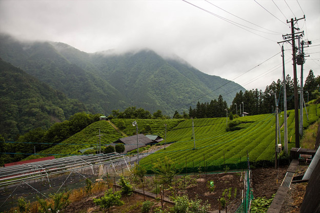 _MG_4583_R
