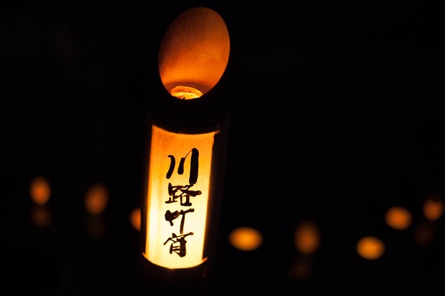 _MG_4953_R