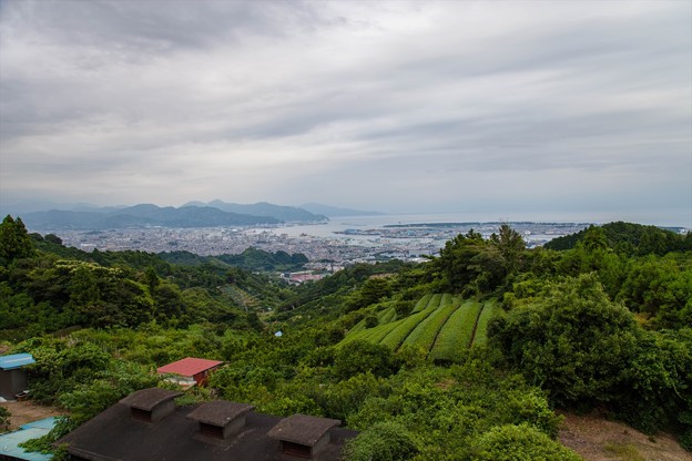 _MG_6761_R