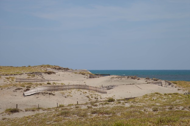 _MG_6720_R