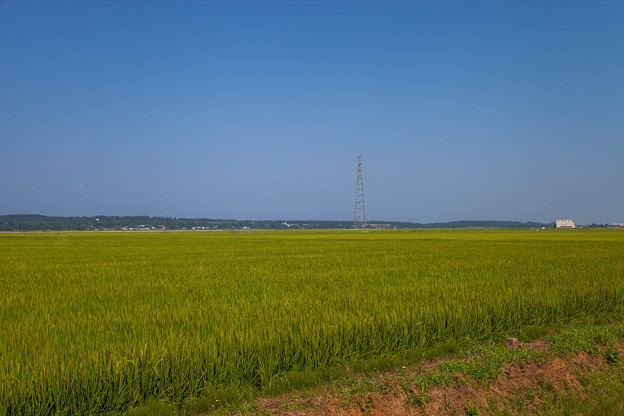 _MG_7197_R