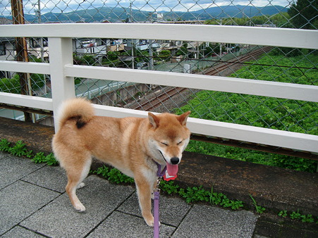 2010_07040004