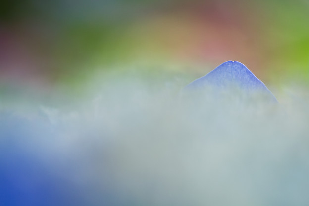 富士の山