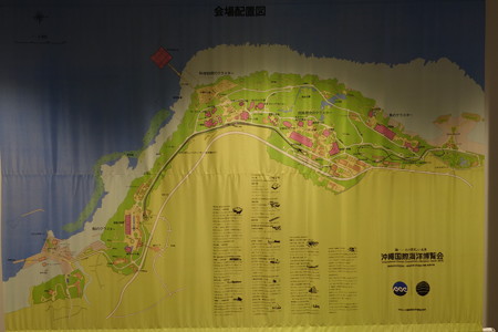 DSC00246