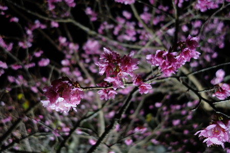 DSC03506