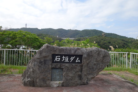 DSC02541