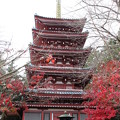 五重塔_本土寺 D9984