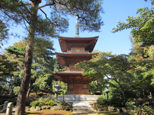Photos: 豪徳寺／世田谷城（世田谷区）三重塔